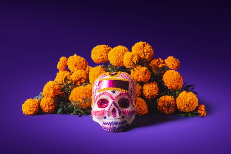 Cempasuchil Dia De Muertos