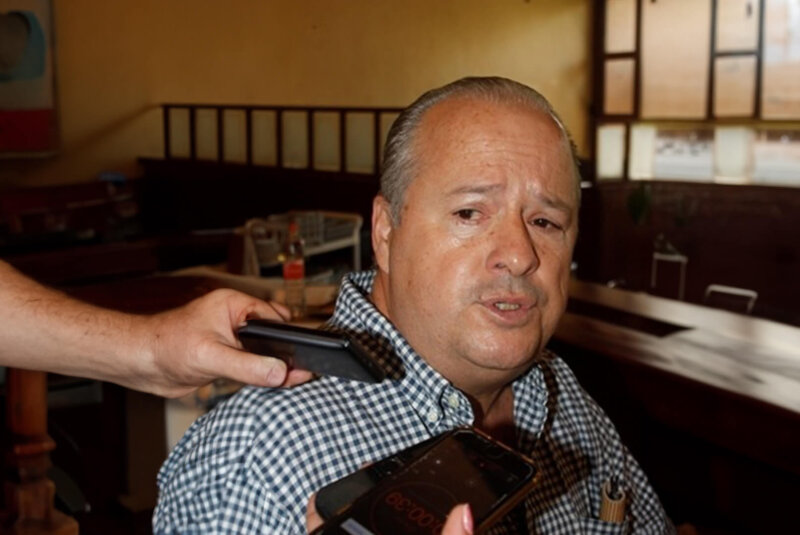 El Sector Bananero Mexicano: Entre La Amenaza De Plagas Devastadoras Y El Desinterés Del Gobierno