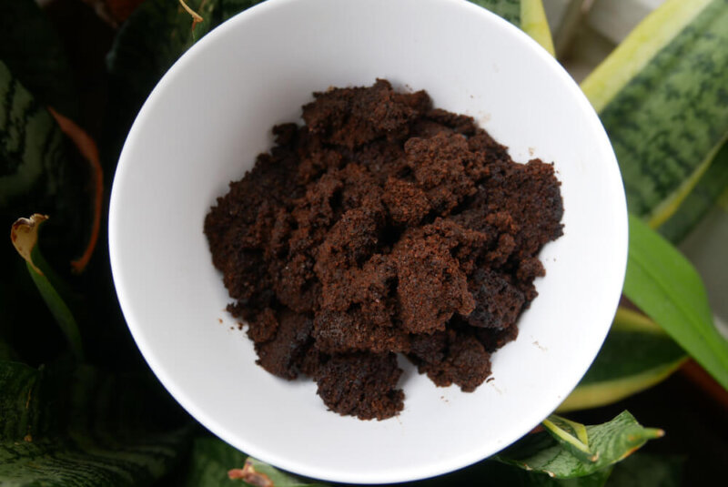 Colombia Usa Desechos De Café Para Hacer Biocombustibles Y Bolsas Hidrosolubles