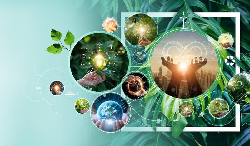 El Futuro De La Industria Alimentaria: Los Consumidores Conscientes Cambiarán Al Mundo