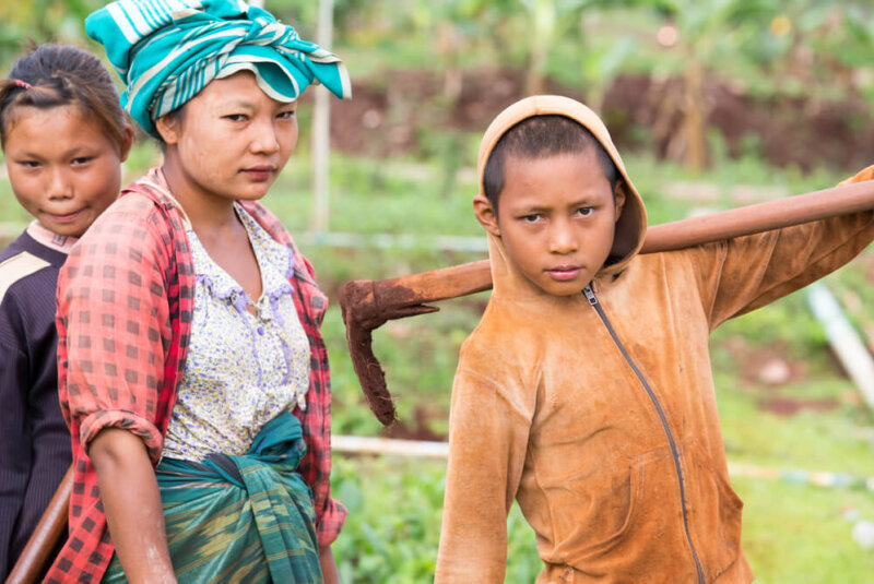Starbucks Y Lindt Enfrentan Acusaciones Por Explotación Infantil Y Abuso Laboral