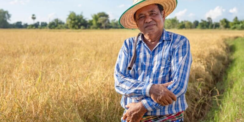 En Colombia Generan Energía Limpia Con Residuos De Arroz, Te Decimos Cómo Funciona