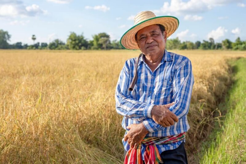 En Colombia Generan Energía Limpia Con Residuos De Arroz, Te Decimos Cómo Funciona