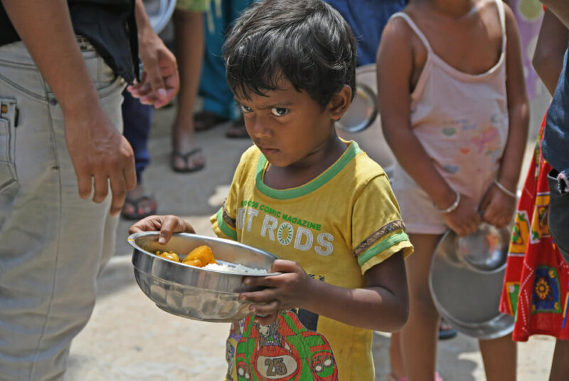 En El Mundo 282 Millones De Personas Sufren Inseguridad Alimentaria