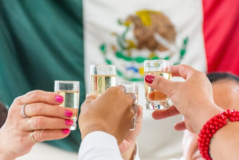 Denominación De Origen Del Tequila Cumple 50 Años