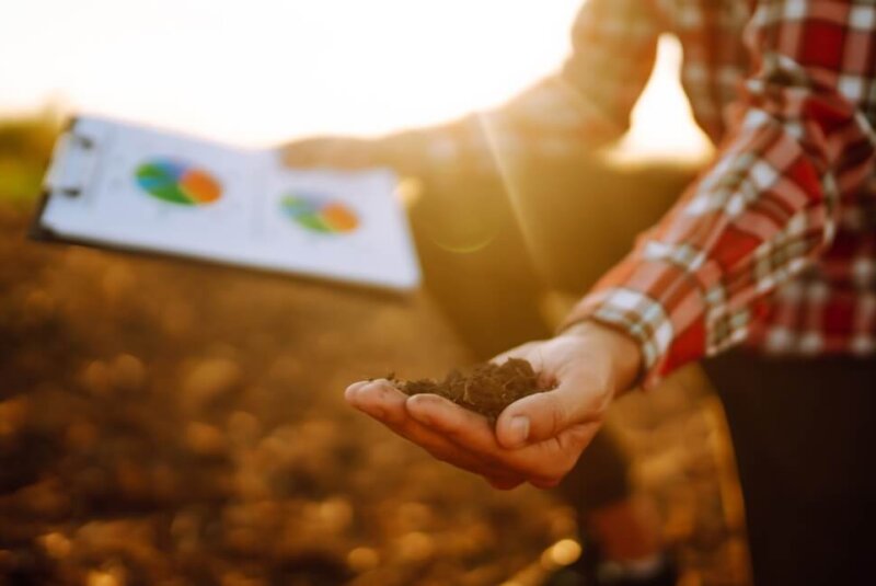 IA Impulsa Detección De Zonas Aptas Para Agronegocios En Colombia