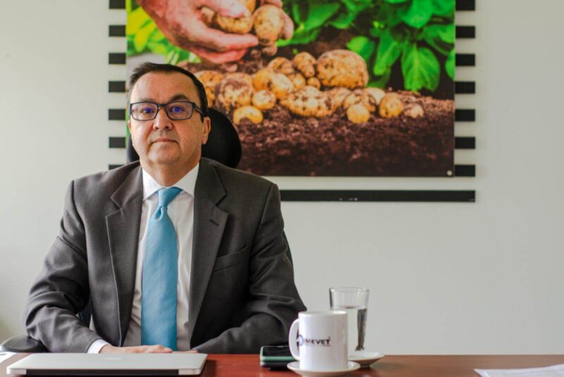 Las Claves De La Transformación Y El Crecimiento Del Sector De La Papa En Colombia